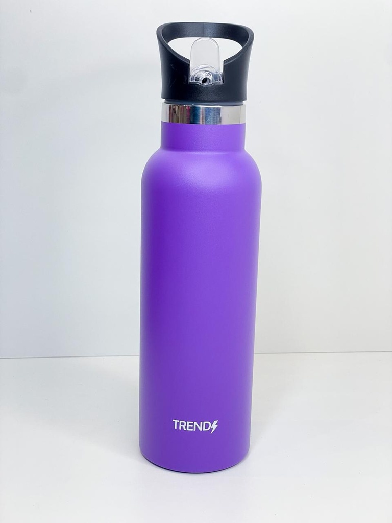 Botella termica trendy 500ml