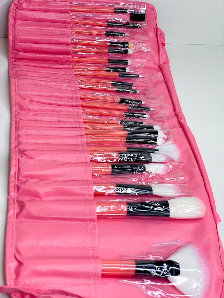 Set de brochas x24