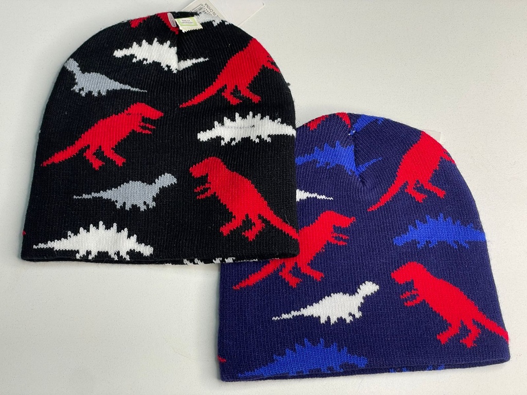 Gorro dinosaurio