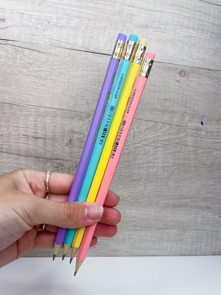 Lapiz negro con goma deli