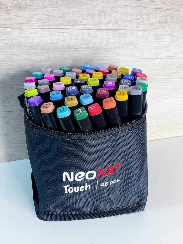 Fibras doble punta con estuche x48 unidades