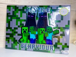 Carpeta de dibujo minecraft